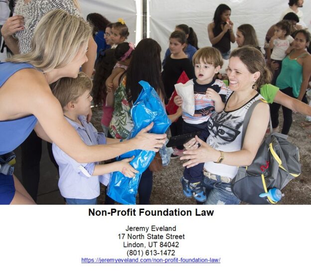 Non-Profit Foundation Law