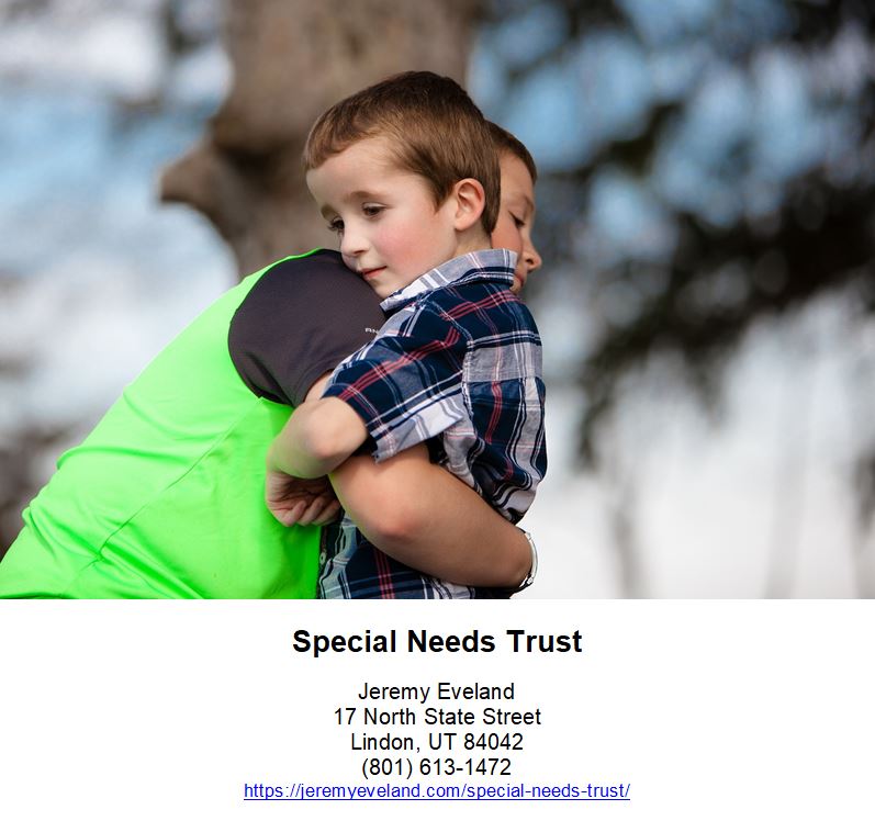 Special Needs Trust, trust, trusts, needs, benefits, assets, trustee, person, beneficiary, money, medicaid, child, funds, income, government, services, estate, tax, disability, snt, party, attorney, insurance, state, life, beneficiaries, eligibility, security, benefit, people, planning, credit, ssi, parent, type, law, trustees, death, grantor, disabilities, individual, needs trust, special needs trusts, needs trusts, special needs, public benefits, disabled person, government benefits, special needs trust, trust assets, loved one, disabled child, third party, pooled trust, supplemental security income, first party, personal injury settlement, beneficiary dies, united states, social security, estate plan, remainder beneficiaries, third-party snt, professional trustee, needs-based government benefits, financial support, revocable trust, estate planning, first-party snts, family member, successor trustee, special needs trust, beneficiary, assets, trustee, trusts, medicaid, tax, grantor, income, third-party, disability, attorney, benefits, estate planning, lawyer, inheritance, ssi, first-party, bank, expenses, supplemental security income (ssi), fargo, supplemental needs trust, conservator, life insurance, irrevocable trust, pooled trusts, deduction, private trust, inter vivos trust, estate planning, living trusts, supplemental security income, retirement plan, capital gains tax, trusts